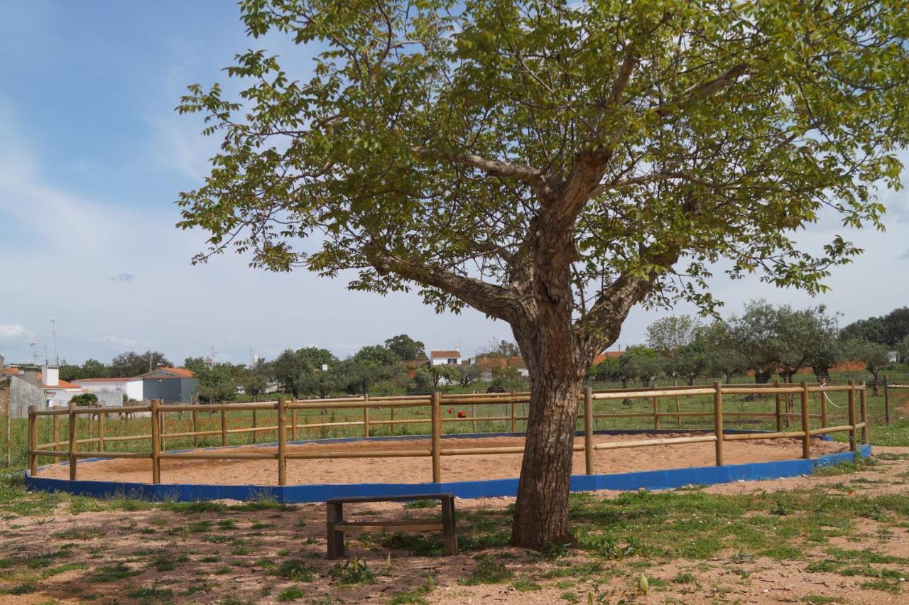 Bed and Breakfast Tapada Do Chafariz Estremoz Exterior foto